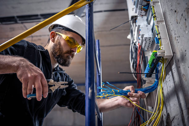 Best Electrical System Inspection  in Swanton, OH