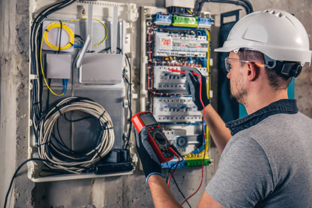 Best Ceiling Fan Installation Electrician  in Swanton, OH