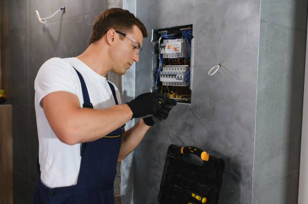 Best Affordable Emergency Electrician  in Swanton, OH